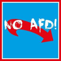 Darf man Nazis Nazis nennen? Eine Schonungslose Betrachtung der AfD